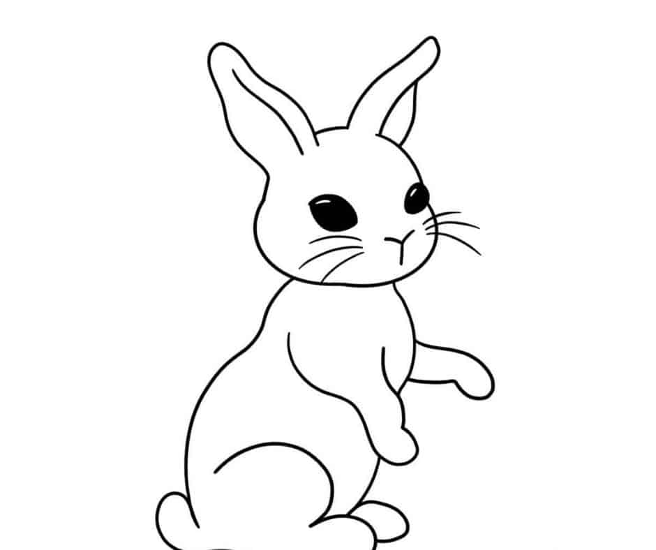 How to Draw a Bunny | Skip To My Lou